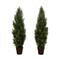 3ft. Potted UV Resistant Cedar Pine Trees, 2ct.